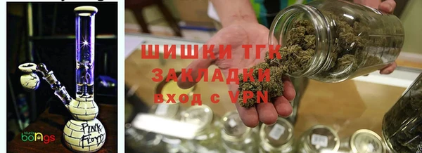 ПСИЛОЦИБИНОВЫЕ ГРИБЫ Алексеевка