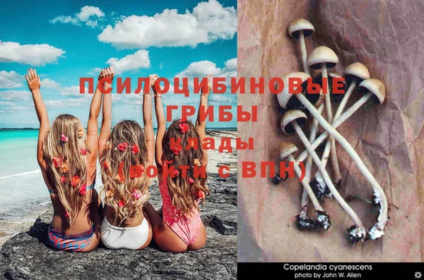 меф VHQ Алзамай
