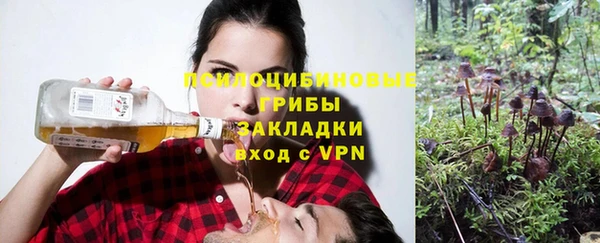ПСИЛОЦИБИНОВЫЕ ГРИБЫ Алексеевка