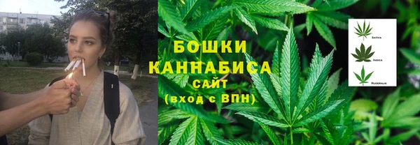 ПСИЛОЦИБИНОВЫЕ ГРИБЫ Алексеевка