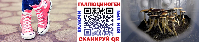 OMG ONION  darknet какой сайт  Галлюциногенные грибы ЛСД  Ухта 